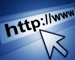 Transfer Domain Names